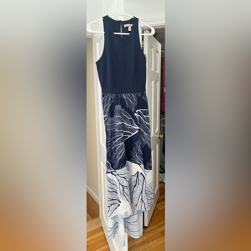 Hutch Altana Hi Low Maxi Dress (size small)